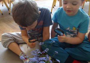 Chłopcy przyglądają się kwiatom